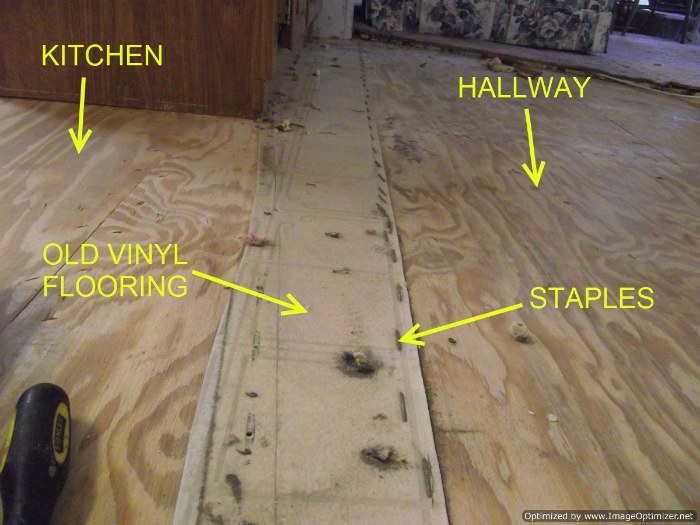 Removing Vinyl Flooring From Wood Mycoffeepot Org